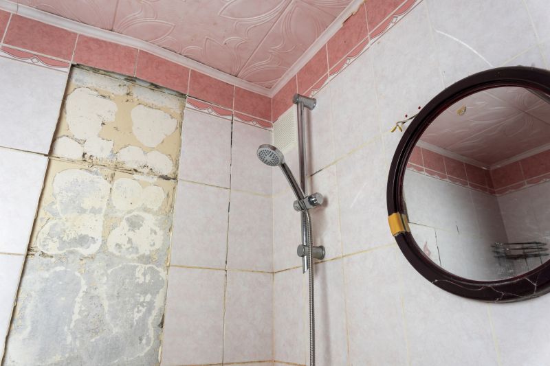 Inside Shower Corner